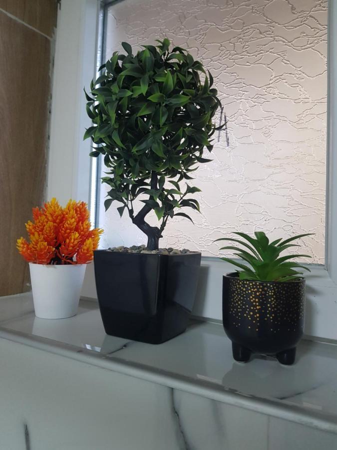 סקופיה City Diamond Apartment מראה חיצוני תמונה